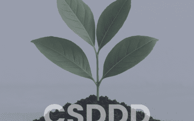 Evropská rada dává zelenou Směrnici CSDDD: Co to znamená pro firmy?