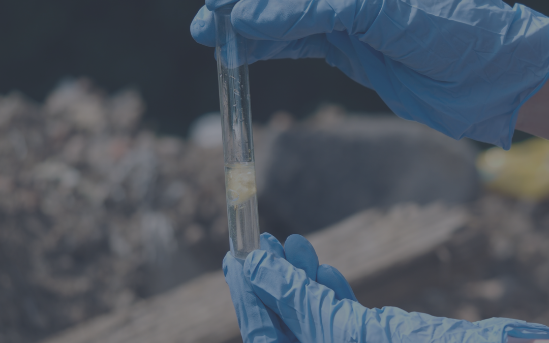 Přidání dvou chemikálií na seznam omezených látek, do přílohy XVII nařízení REACH