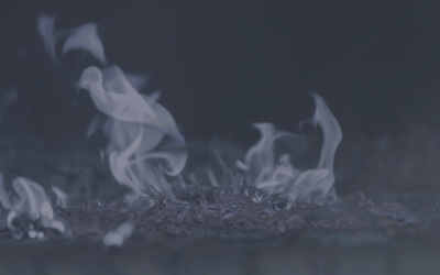 Rozšíření seznamu POPs: Zpomalovač hoření Dechlorane Plus zakázán v EU